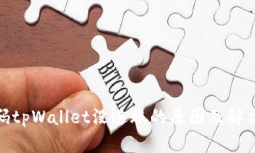 : 扫码tpWallet没进账的原因及解决方案