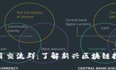 最新区块链项目交流群：