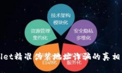 揭露tpWallet精准伪装地址诈