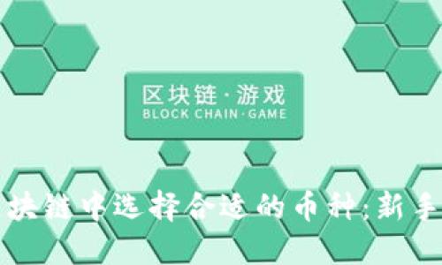 如何在区块链中选择合适的币种：新手入门指南