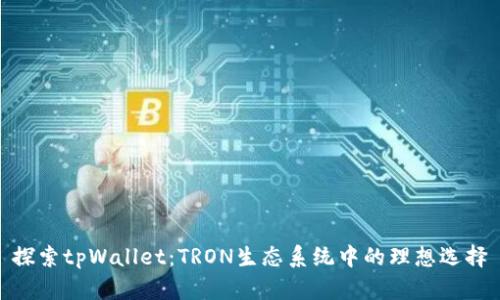 探索tpWallet：TRON生态系统中的理想选择