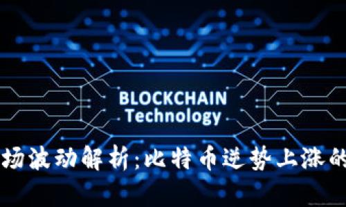 区块链市场波动解析：比特币逆势上涨的原因分析
