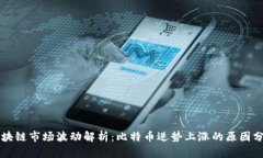 区块链市场波动解析：比