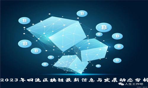 2023年回流区块链最新信息与发展动态分析