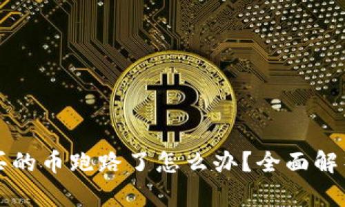 tpWallet购买的币跑路了怎么办？全面解析及应对策略