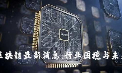 寒冬区块链最新消息：行业困境与未来展望
