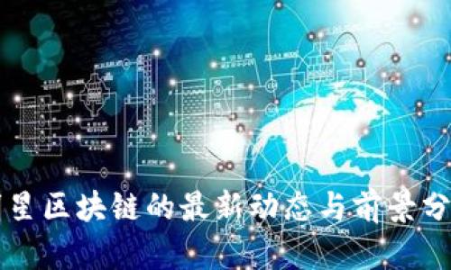 明星区块链的最新动态与前景分析
