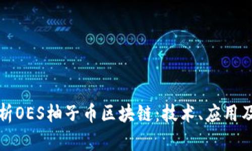 : 深入解析OES柚子币区块链：技术、应用及前景展望