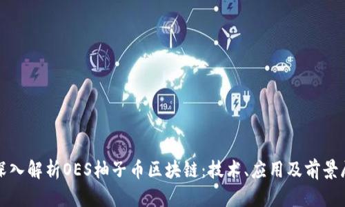 : 深入解析OES柚子币区块链：技术、应用及前景展望