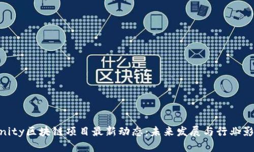 Aeternity区块链项目最新动态：未来发展与行业影响分析