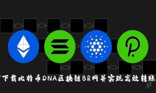 如何下载比特币DNA区块链BR网并实现高效转账操作