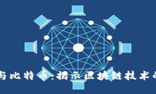 中本区块链与比特币：揭示区块链技术的起源与未来