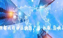 深入理解比特币区块链广