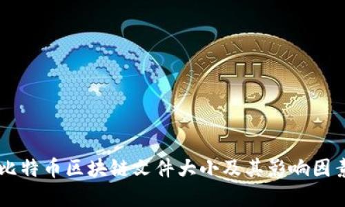 当前比特币区块链文件大小及其影响因素分析