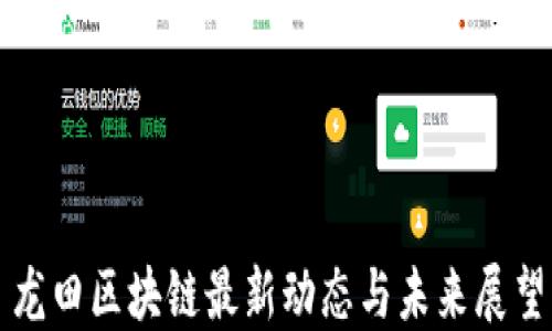 
龙田区块链最新动态与未来展望