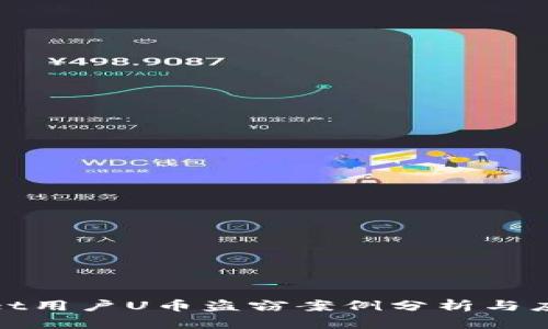 tpWallet用户U币盗窃案例分析与应对措施