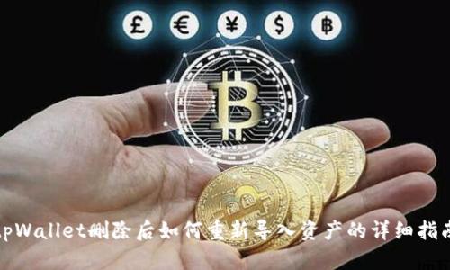 tpWallet删除后如何重新导入资产的详细指南