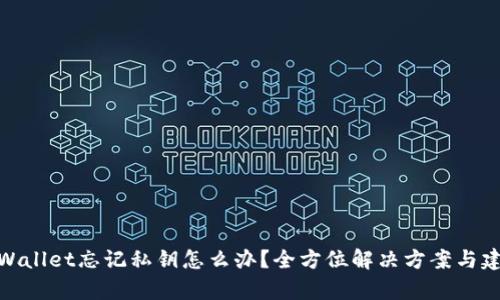 tpWallet忘记私钥怎么办？全方位解决方案与建议