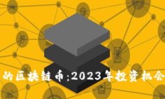下一个赚钱的区块链币：