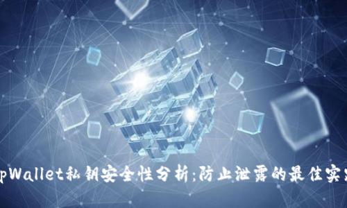 tpWallet私钥安全性分析：防止泄露的最佳实践