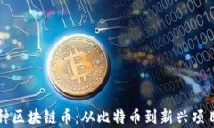 全面了解各种区块链币：