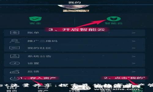 tpWallet流量共享：探索最优数字资产管理方案