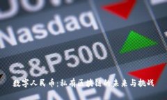数字人民币：私有区块链