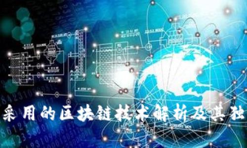 Pi币采用的区块链技术解析及其独特性