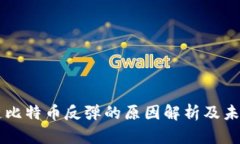 区块链比特币反弹的原因