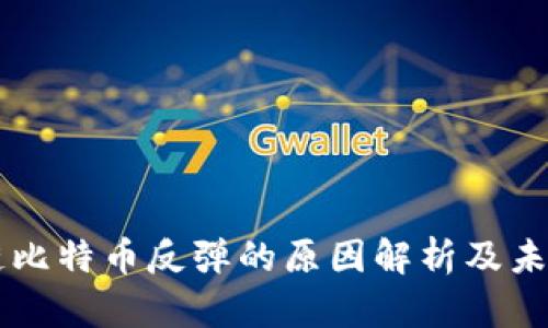 区块链比特币反弹的原因解析及未来展望