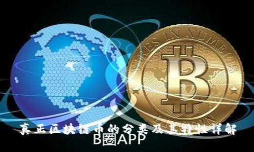 真正区块链币的分类及其特性详解