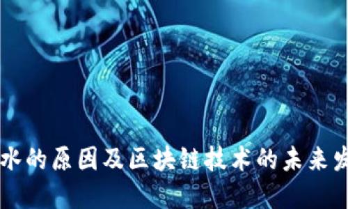 币价跳水的原因及区块链技术的未来发展趋势