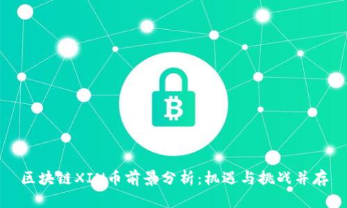 区块链XIN币前景分析：机遇与挑战并存