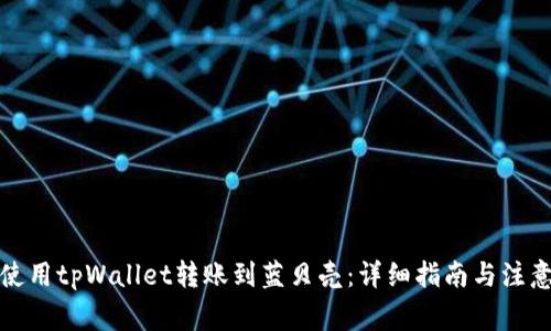 如何使用tpWallet转账到蓝贝壳：详细指南与注意事项