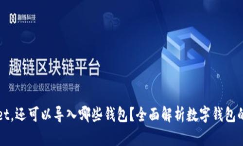 除了tpWallet，还可以导入哪些钱包？全面解析数字钱包的选择与优势