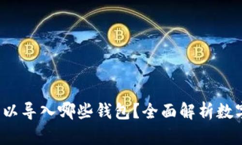 除了tpWallet，还可以导入哪些钱包？全面解析数字钱包的选择与优势