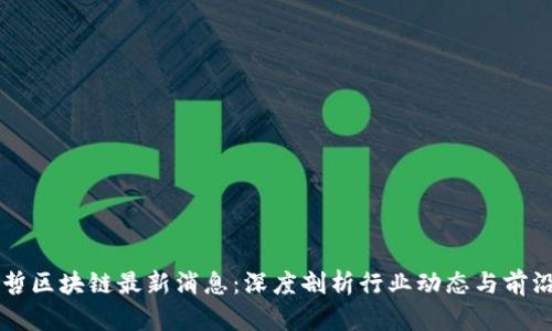 王新哲区块链最新消息：深度剖析行业动态与前沿技术