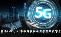 怎样在tpWallet中取消授权并保护你的数字资产