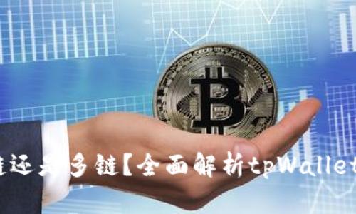 tpWallet：单链还是多链？全面解析tpWallet的区块链支持
