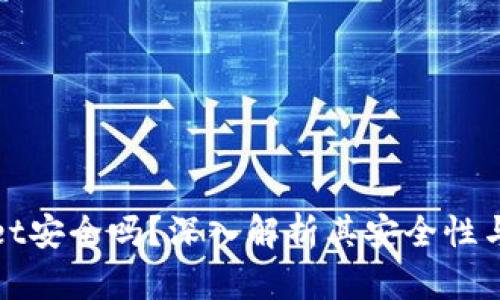 tpWallet安全吗？深入解析其安全性与可靠性