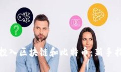 如何有效投入区块链和比