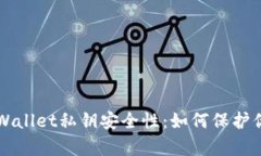 深入了解tpWallet私钥安全性