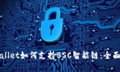 tpWallet如何支持BSC智能链：