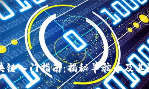 羊驼区块链入门指南：揭秘羊驼币及其潜在价值
