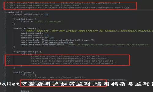 tpWallet下架后用户如何应对：实用指南与应对策略