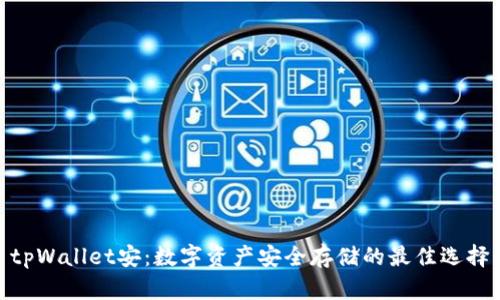 tpWallet安：数字资产安全存储的最佳选择
