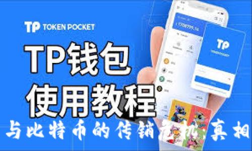  
区块链技术与比特币的传销危机：真相与风险评估