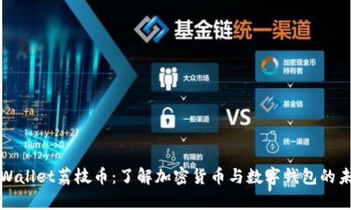 tpWallet荔枝币：了解加密货币与数字钱包的未来
