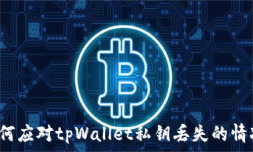   
如何应对tpWallet私钥丢失的情况？