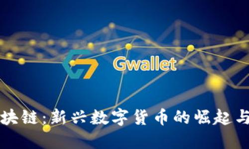 榴莲币区块链：新兴数字货币的崛起与未来展望